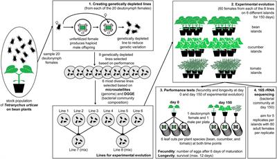 Microbiome Heritability and Its Role in Adaptation of Hosts to Novel Resources